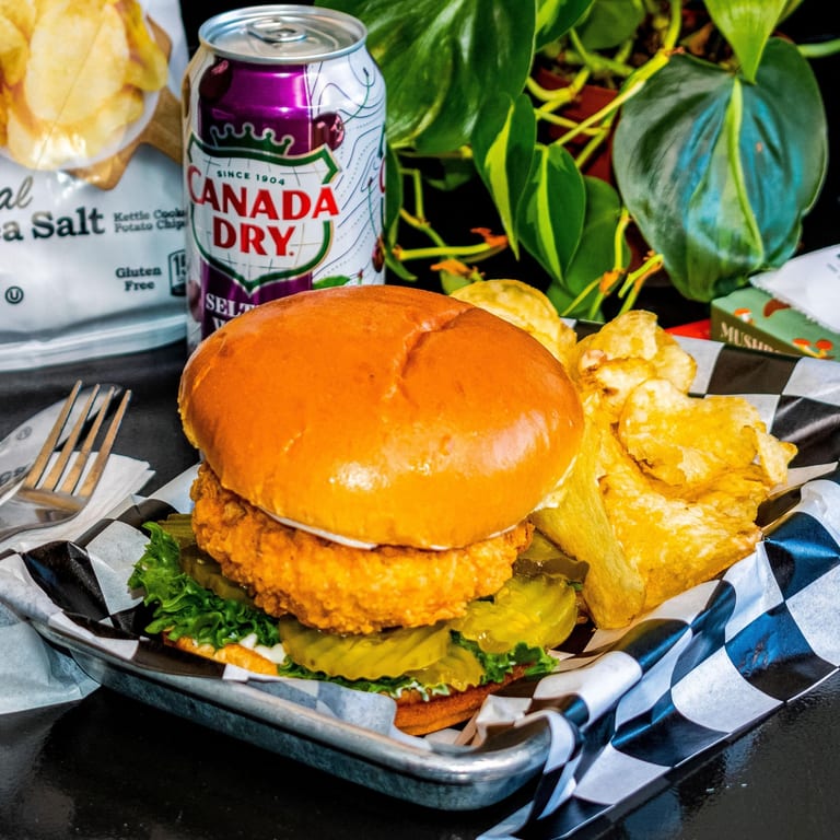 Delicious Vegan Burgers